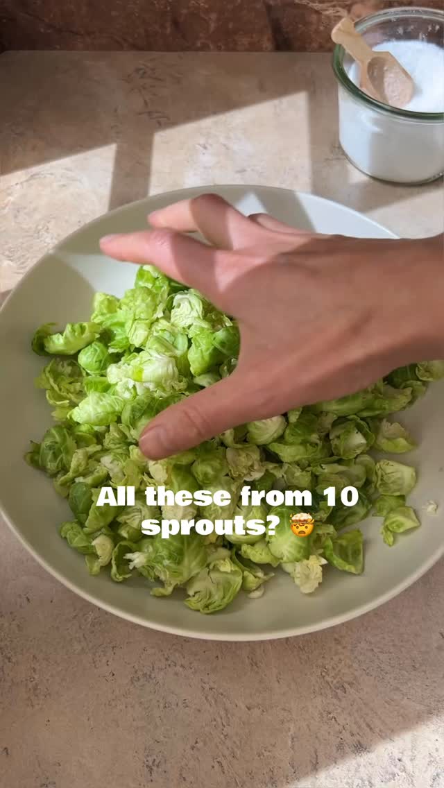 Comment SALAD for the full recipe for this Fall Harvest Quinoa & Lentil Salad with Apple Cider Vinaigrette

Here is my “patented” Brussels Sprout Smashing Method:

Trim the ends of each sprout and make a small v-shaped cut into the base to remove the core. Place the sprouts on a cutting board and, using a sturdy fry pan or heavy bottomed pot, gently smash them one at a time until they flatten and begin to separate into individual leaves. Transfer the Brussels sprout leaves to a large bowl, sprinkle with about 1/2 tsp kosher salt, and toss well. Let them sit while you prepare the rest of the salad. This brief salting softens the leaves and brings out their natural sweetness.

#smashedbrusselsprouts #thesaladwhisperer
