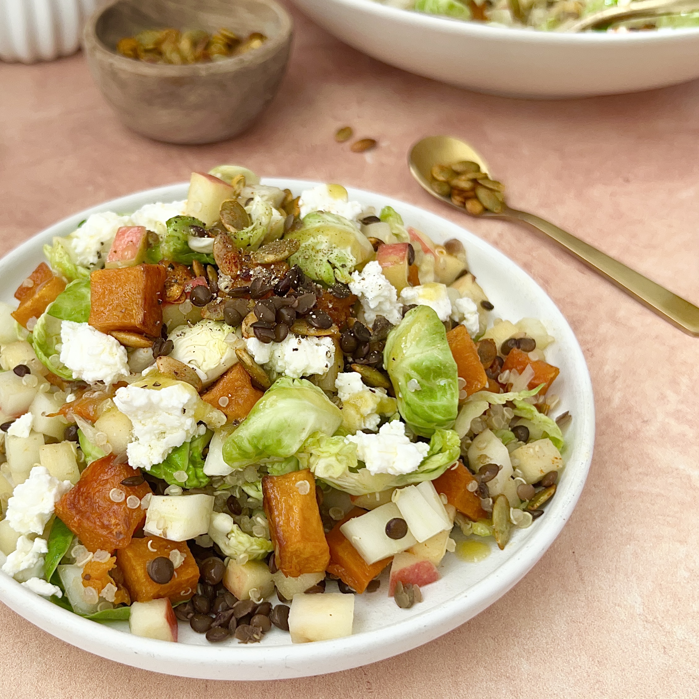Fall Harvest Quinoa and Lentil Salad with Apple Cider Vinaigrette and Spiced Pepitas