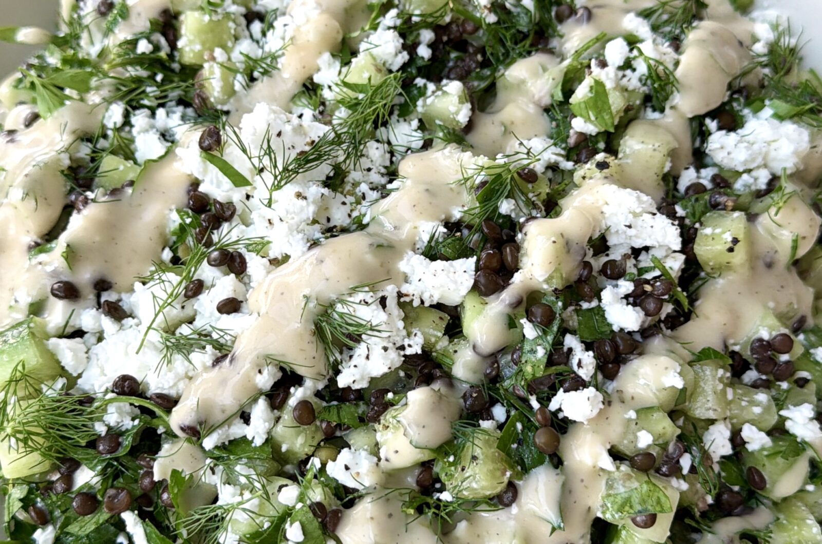 Greek Inspired Cucumber and Black Lentil Salad